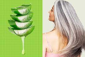 the benefits of aloe vera for hair