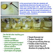 See full list on untamedscience.com Cell Transport Lab Osmosis And Diffusion By Amy Brown Science Tpt