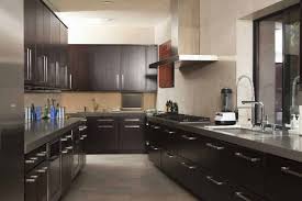 46 kitchens with dark cabinets black
