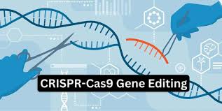 the endless possibilities of crispr cas
