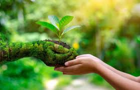 World environment day 2021 is marked annually on june 5 to inspire people to take measures and protect our planet. Dppckbs 7djx5m