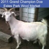 Goat Lice How Do I Get Rid Of Them The Goat Spot Goat Forum