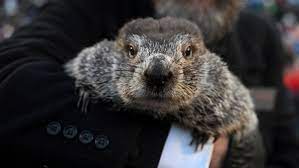 Groundhog Day Around The World In 2023 There Is A Day For That  gambar png