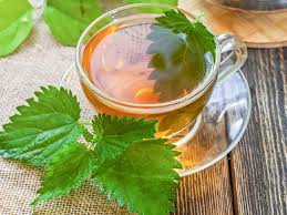 nettle tea 4 health benefits how to