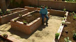 Desert Vegetable Garden Raised Beds
