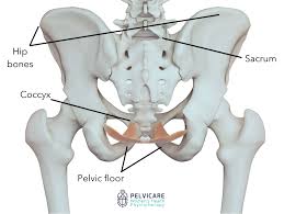 pelvic girdle pain pgp