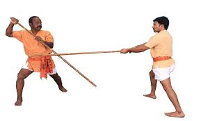 martial art forms in india