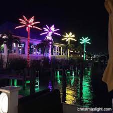 commercial outdoor lighted palm trees