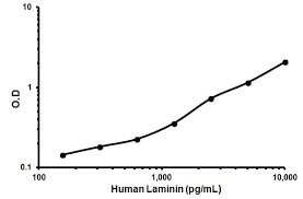 human laminin elisa kit ab119599 abcam