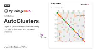 Introducing Autoclusters For Dna Matches Myheritage Blog