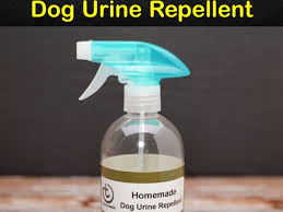 homemade dog urine repellent