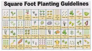 Square Foot Gardening Planning