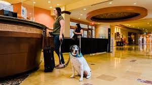 dog friendly hotels vacation als