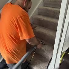 carpet cleaning near ontario ny 14519