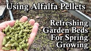 how to use alfalfa pellets filling