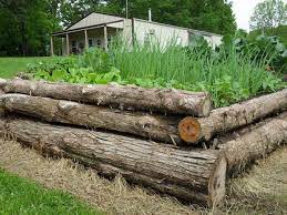 Build A Raised Garden Bed From Logs