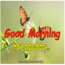 Beautiful hindi good morning images. 157 Fresh Good Morning Images For Whatsapp Free Download In Hindi Good Morning