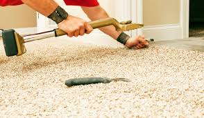 home green clean carpet cleaning services