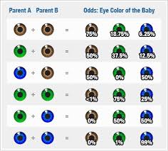 Eye Color Percentage Chart Album On Imgur