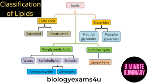 lipids biochemistry part 1