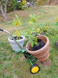 Garden Pot Mover Heavy Duty Plant