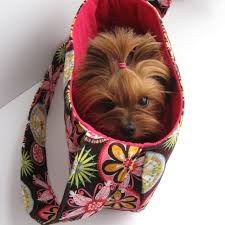 Image result for dog inside handbag