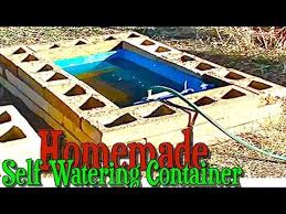 Self Watering Container Gardening