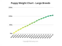 puppy weight chart