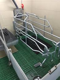 farrowing crate p4 producent polnet