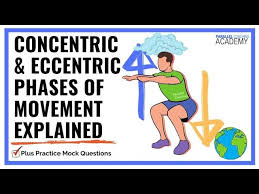 concentric and eccentric contractions