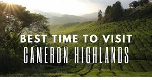 A few weeks ago we visited cameron highlands. Best Time To Visit Cameron Highlands Best Month When Not To Go 2021