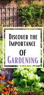 discover the importance of gardening