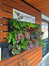 living wall planters vertical