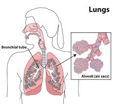 Lung Disease Womenshealth Gov