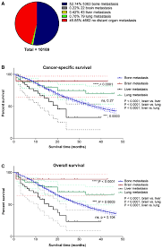 A Pie Chart Of Single Organ Metastasis Percentage