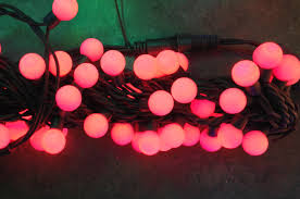 50 Extendable Outdoor Xp Led Red Berry