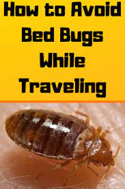 how to avoid bed bugs while traveling
