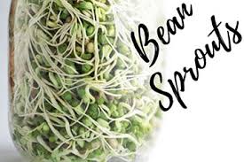 superfood spotlight bean sprouts