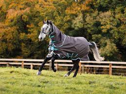 win a horseware turnout rug horse and