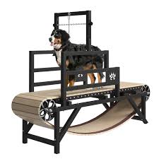 see dog treadmill for large dogs