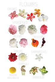 Wedding Flower Chart For E Es Wedding Types Of Flowers