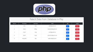 how to fetch data from database in php