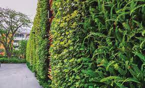 Vertical Landscaping Creating A Living