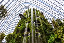 cloud forest at gardens by the bay