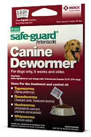 safe guard canine merck