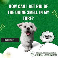 get rid of the pet urine smell