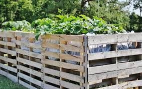 Pallet Vegetables Garden And Fence Safety