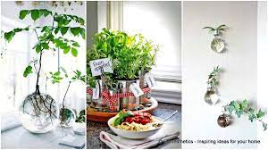 Fresh plants and flowers always make a home more beautiful. 24 Of The Most Beautiful Ideas On Indoor Mini Garden To Collect Homesthetics Inspiring Ideas For Your Home
