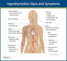 Hypothyroidism Nursing Care Management And Study Guide