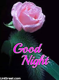 good night flowers images hd photos